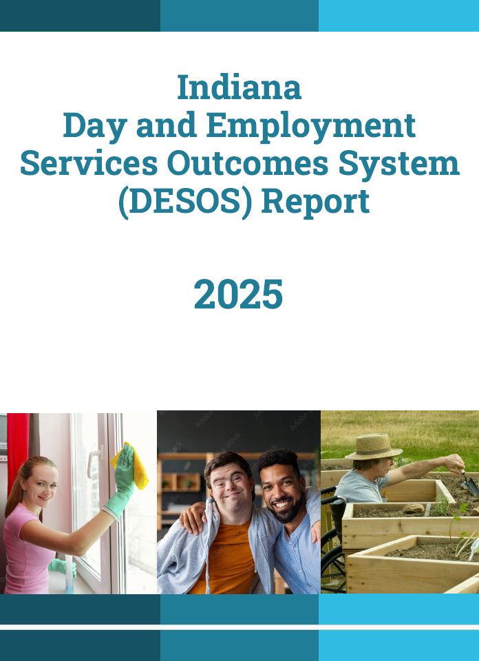 DESOS Report 2025 Cover Page
