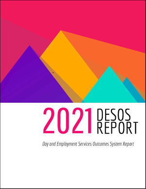 Cover of 2021 DESOS report.