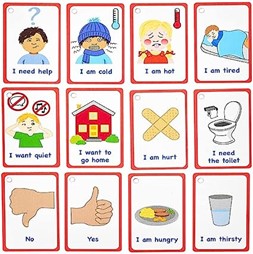 Visual Aid Flash Cards Depicting Essential Needs